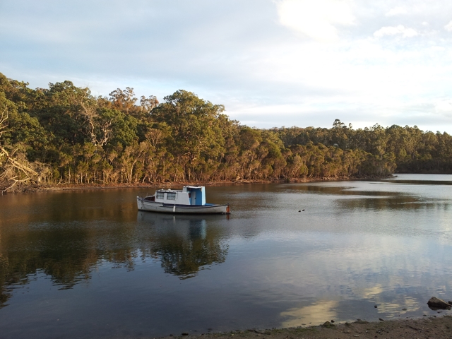 View from Nowa Nowa caravan park.