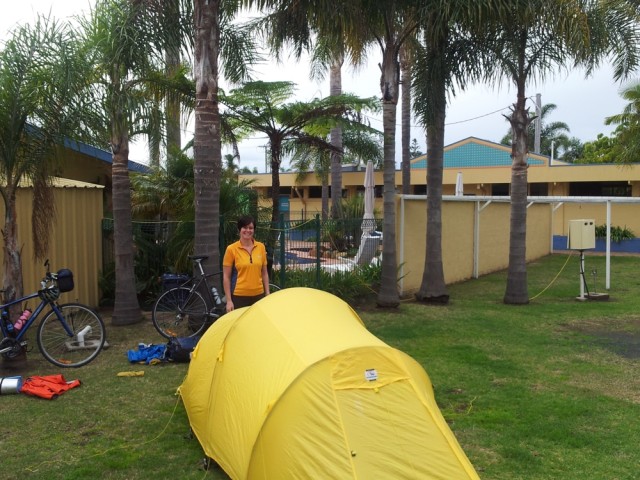 Camping under palms