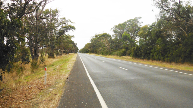 Cycling the very straight road