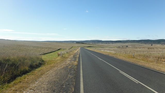 NSW grasslands