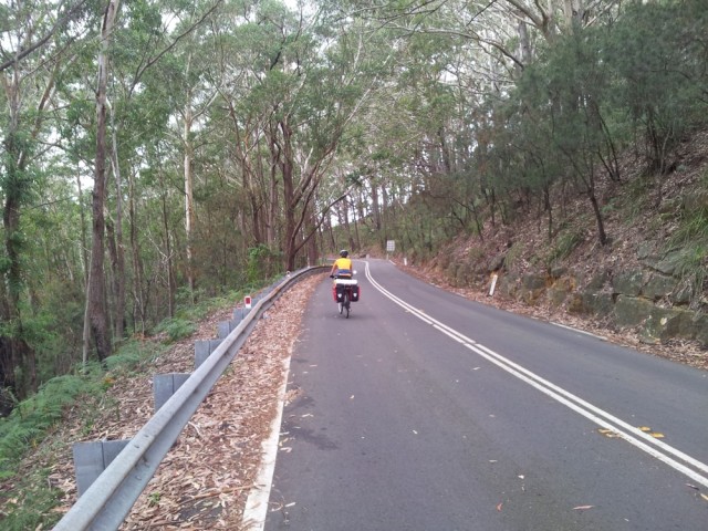 Cycling through Royal National Park