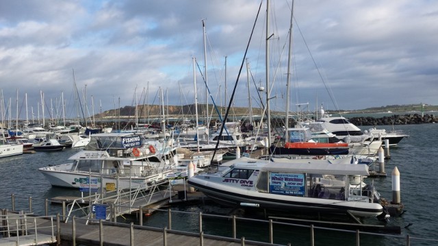 The marina