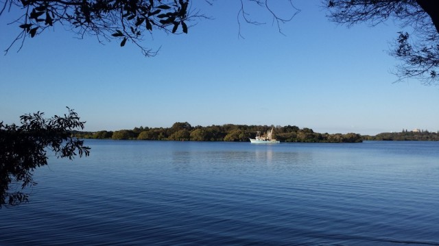 View from the Yamba Caravan Park